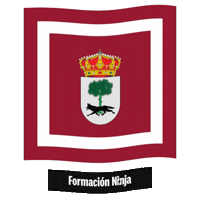Castilla Y Leon Flag Sticker by Formación Ninja