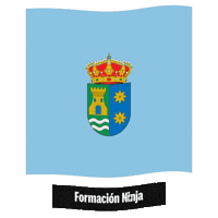 Castilla Y Leon Flag Sticker by Formación Ninja
