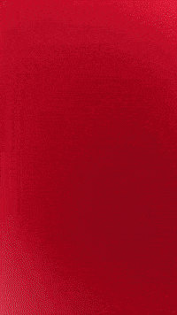 Hazbinhotel GIF by Youtooz