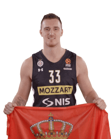 Kkpartizan Sticker by sportmts