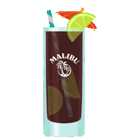 Dance Love Sticker by Malibu Rum