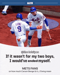 New York Mets Baseball GIF