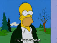 homer simpson GIF