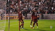 rslmarketing soccer futbol mls major league soccer GIF