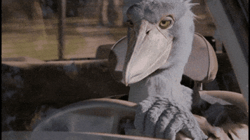 When You Know Instagram GIF