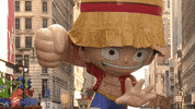 Macys Parade GIF by The 97th Macy’s Thanksgiving Day Parade