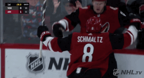 Ice Hockey Sport GIF by NHL