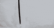 public broadcasting service photography GIF by PBS
