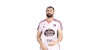 Swipe Up Liga Endesa Sticker by ACB