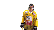 Hockey Ice Sticker by Vienna Capitals