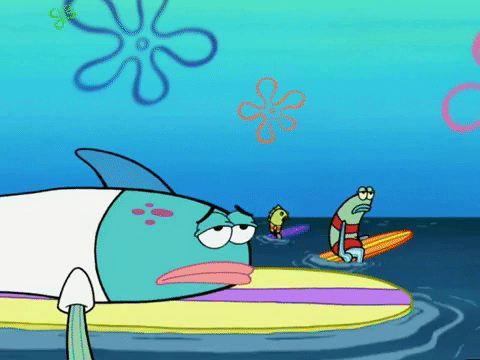 season 6 GIF by SpongeBob SquarePants