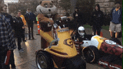 mascot Gophers GIF by Goldy the Gopher - University of Minnesota