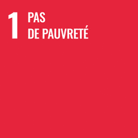 Yorku Sdg1 GIF by York University