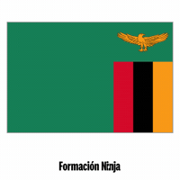 Flag Pixel Art GIF by Formación Ninja