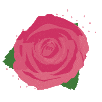 skincare Sticker by Sukin Naturals