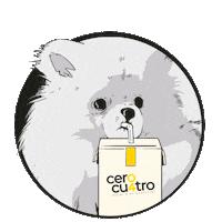 Temuco Sticker by agenciacerocuatro