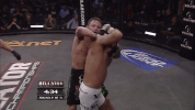mixed martial arts fighting GIF by Bellator