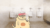 Cat Noodle GIF