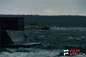 GIF by FilmStruck