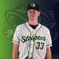 GoStripers wide eyes gwinnett stripers allard GIF