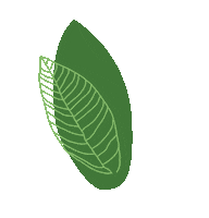 Skincare Hidratacao Sticker by Heté Cosméticos