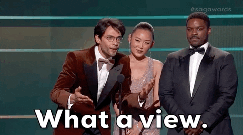 Screen Actors Guild Nice View GIF by SAG Awards