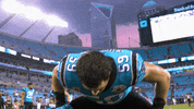Nfl GIF by Carolina Panthers