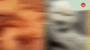 Dog Netflix GIF by BuzzFeed