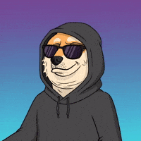 Shiba Inu Dog GIF by Doge Pound