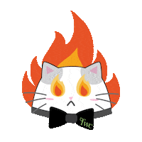 feelwellceramics cat excited angry semangat Sticker