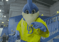ncaa sports basketball GIF by Delaware Blue Hens