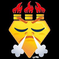 UFRR ufrr GIF