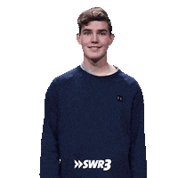 Fun Smile Sticker by SWR3