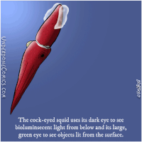 GIF by Underdone Comics