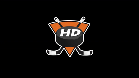eishockey GIF by HOCKEY DUDES