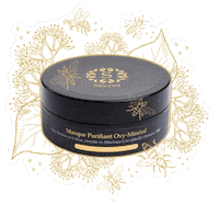 pinupsecretparis  Sticker