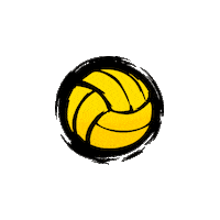 Water Polo Ball Sticker by DUCKO