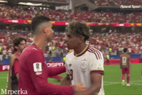 Sad World Cup GIF
