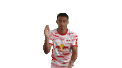 Motivate Lets Go Sticker by RB Leipzig