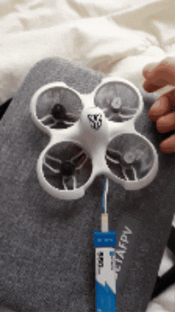 giphy.gif