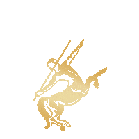 Friends Celebration Sticker by Rémy Martin