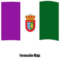 Flag Spain GIF by Formación Ninja