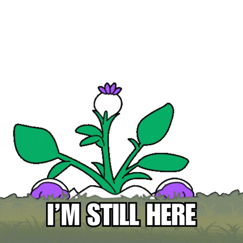 Angry I Heard You GIF by Magic Eden