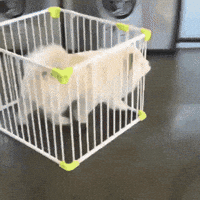 Time No GIF