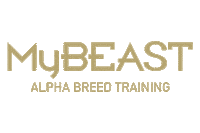 Fitness Workout Sticker by MyEquilibria