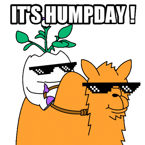 Wednesday Morning Sunglasses Sticker by Magic Eden