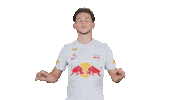 Football Sport Sticker by FC Red Bull Salzburg