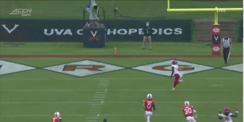 therealessad giphygifgrabber football uva ncstate GIF