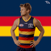 Afl Smile GIF by Adelaide Crows