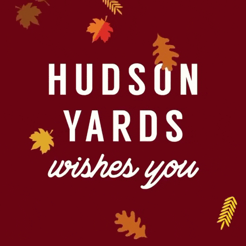 hudson_yards giphygifmaker thanksgiving hudsonyards vesselnyc GIF